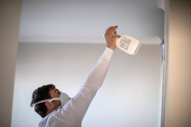Mold Testing and Removal in Petersburg, WV