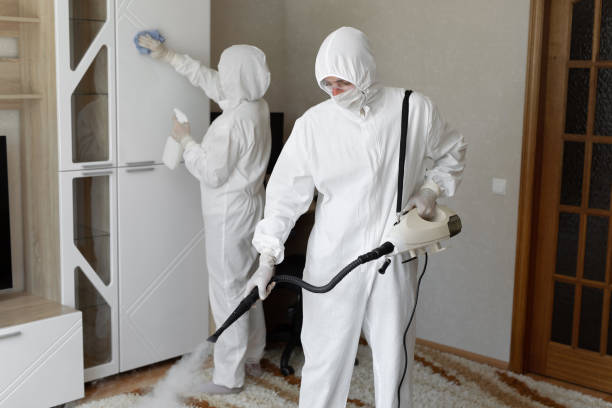 Professional Mold Removal in Petersburg, WV