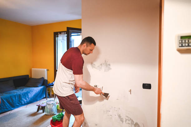 Best Black Mold Removal  in Petersburg, WV